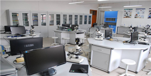 理化生試驗(yàn)臺(tái)OBE